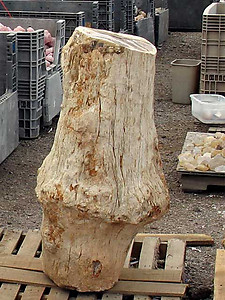 Petrified Wood Pedestal 398Kg