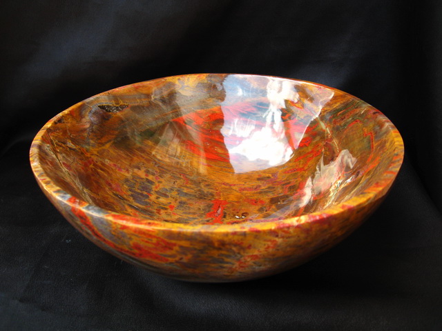 Petrified Wood Bowl