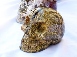 Sea Jasper Skull
