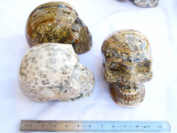 Sea Jasper Skull