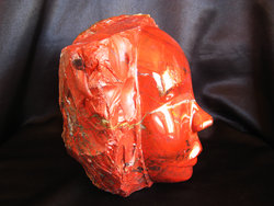 Chestnut Jasper Face