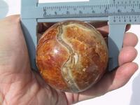Ammonite Sphere (55mm)