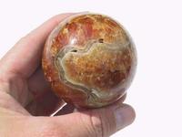 Ammonite Sphere (55mm)