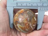 Ammonite Sphere (45mm)