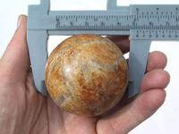 Ammonite Sphere (50mm)