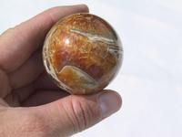 Ammonite Sphere (45mm)