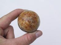 Ammonite Sphere (40mm)