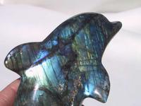 Labradorite Medium Size Dolphin