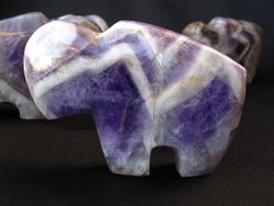 Amethyst Banded Buffalo
