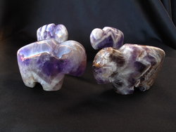 Amethyst Banded Buffalo