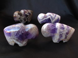 Amethyst Banded Buffalo
