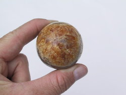 Ammonite Sphere (40mm)