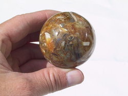 Ammonite Sphere (45mm)