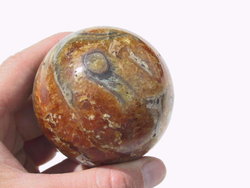 Ammonite Sphere (60mm)