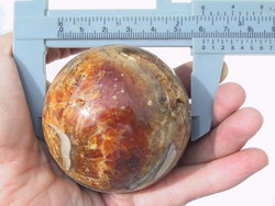 Ammonite Sphere (60mm)