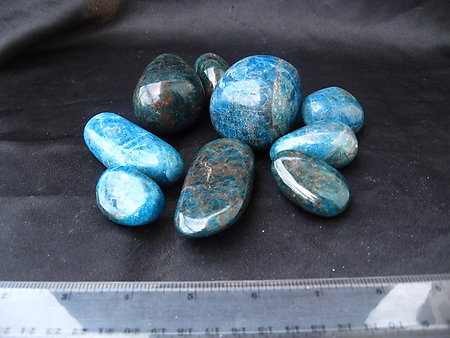 Apatite Gallet - Medium