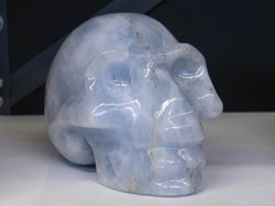 Blue Calcite Large Skull - 5pcs