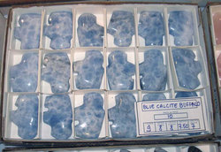 Blue Calcite Fetish Buffalo - 2 Flats (36pcs)