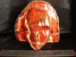 Carnelian Face