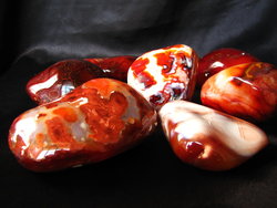 Carnelian Gallet Large 5LB