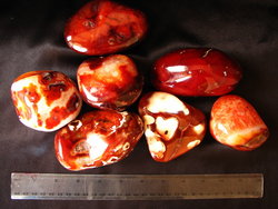 Carnelian Gallet Large 5LB
