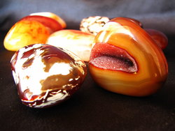 Carnelian Gallet Small 10LB