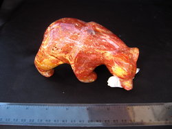 Chestnut Jasper Bear Eating Fish