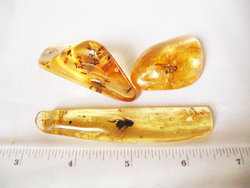 Copal (15 - 20 grams/pc) - 2pc