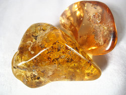Copal (120 - 140 grams/pc)