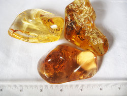 Copal (120 - 140 grams/pc)