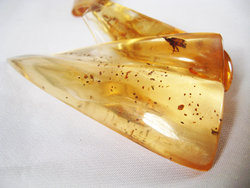Copal (20 - 30 grams/pc)