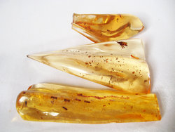 Copal (20 - 30 grams/pc) - 2pc