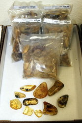 Copal Polished AAA - 250 Gram Lot