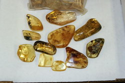 Copal Polished AAA - 2Kg Lot