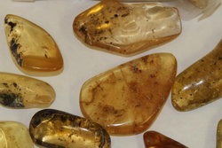 Copal Polished AAA - 2Kg Lot