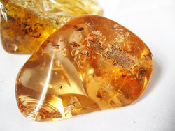 Copal (100 - 120 grams/pc) - 2pc