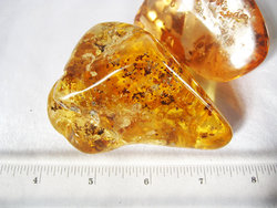 Copal (100 - 120 grams/pc) - 2pc