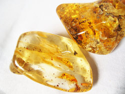 Copal (80 - 100 grams/pc) - 2pc