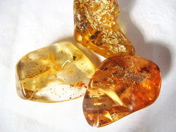 Copal (80 - 100 grams/pc) - 2pc