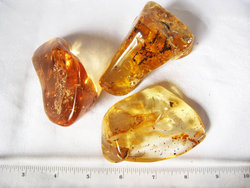 Copal (80 - 100 grams/pc) - 2pc