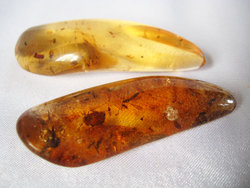 Copal (5 - 10 grams/pc) - 2pc