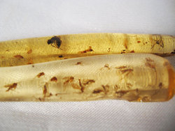 Copal (2 - 5 grams/pc) - 2pc