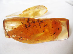 Copal (30 - 40 grams/pc)