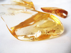 Copal (30 - 40 grams/pc) - 2pc