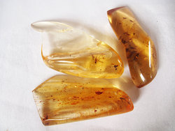 Copal (30 - 40 grams/pc) - 2pc