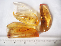 Copal (30 - 40 grams/pc) - 2pc