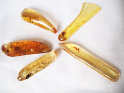 Copal (5 - 10 grams/pc) - 2pc