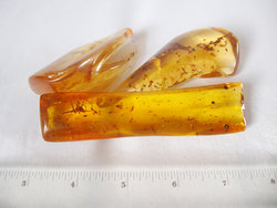 Copal (40 - 50 grams/pc)