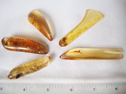 Copal (5 - 10 grams/pc) - 2pc