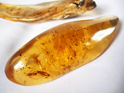 Copal (50 - 60 grams/pc) - 2pc
